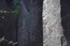 dsc_1207_fs_small.jpg