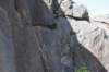dsc_1208_fs_small.jpg