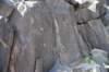 dsc_1210_fs_small.jpg