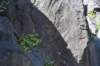 dsc_1213_fs_small.jpg