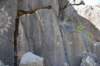 dsc_1216_fs_small.jpg