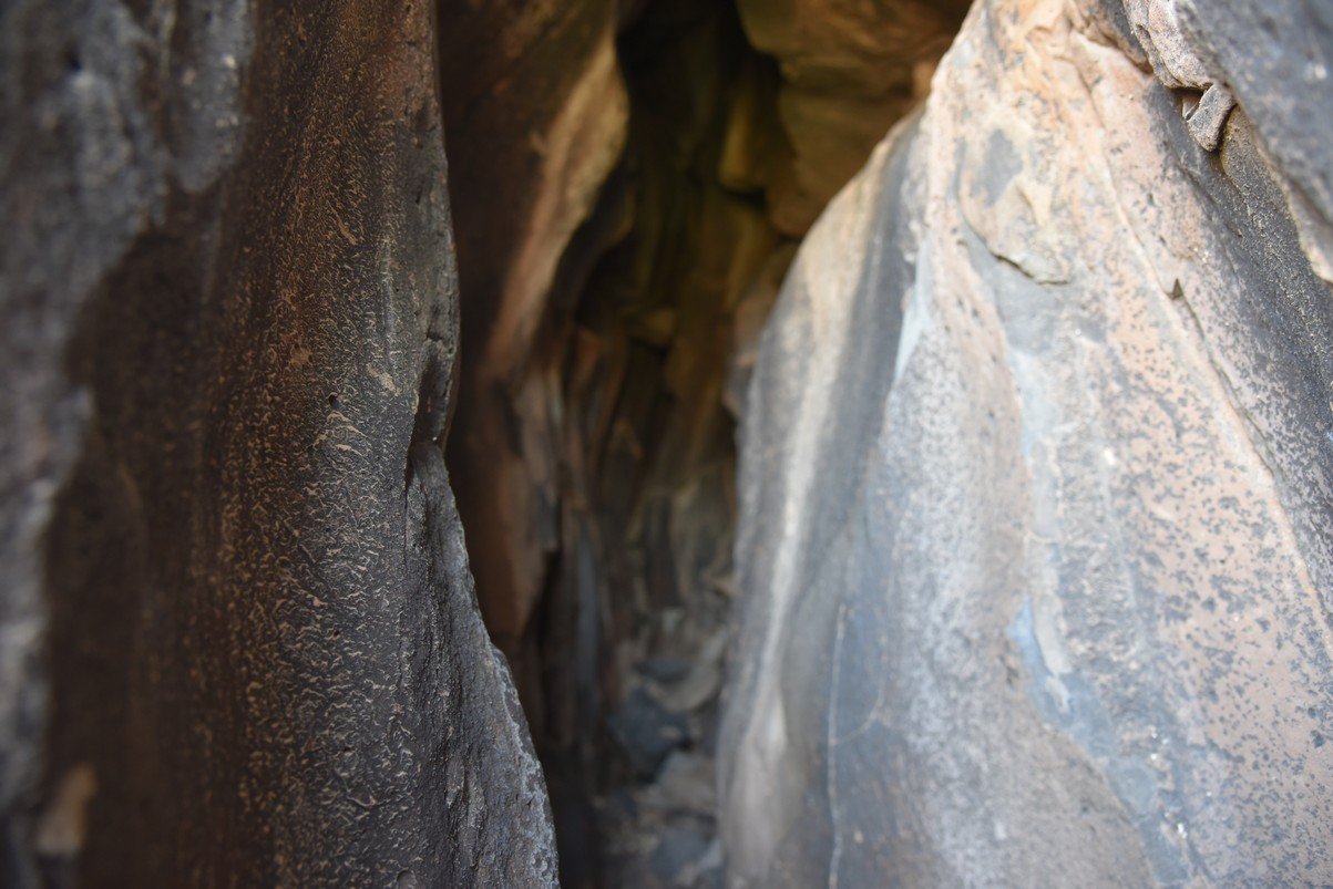 dsc_1225_fs.jpg