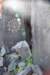dsc_1227_fs_small.jpg