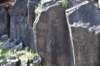 dsc_1229_fs_small.jpg