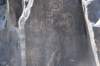 dsc_1230_fs_small.jpg
