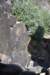 dsc_1239_fs_small.jpg