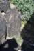 dsc_1244_fs_small.jpg
