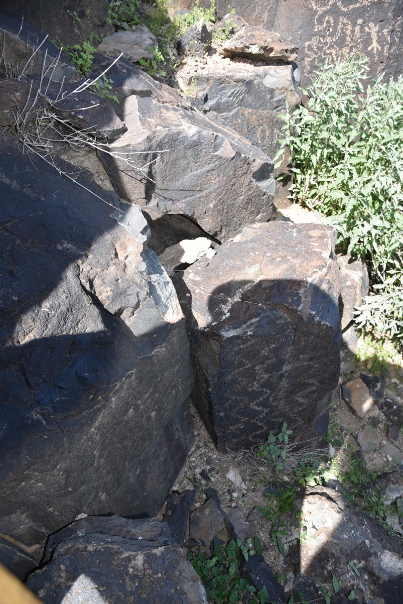 dsc_1245_fs.jpg