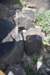 dsc_1245_fs_small.jpg