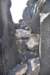 dsc_1247_fs_small.jpg