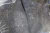 dsc_1251_fs_small.jpg