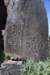 dsc_1254_fs_small.jpg