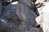 dsc_1255_fs_small.jpg