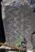dsc_1258_fs_small.jpg