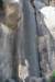 dsc_1263_fs_small.jpg