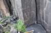 dsc_1265_fs_small.jpg