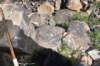 dsc_1271_fs_small.jpg