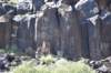 dsc_1332_fs_small.jpg