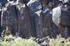 dsc_1333_fs_small.jpg