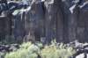 dsc_1347_fs_small.jpg