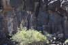 dsc_1363_fs_small.jpg