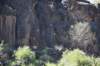 dsc_1364_fs_small.jpg