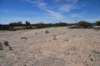 dsc_1378_fs_small.jpg