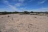 dsc_1379_fs_small.jpg