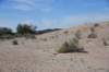 dsc_1398_fs_small.jpg