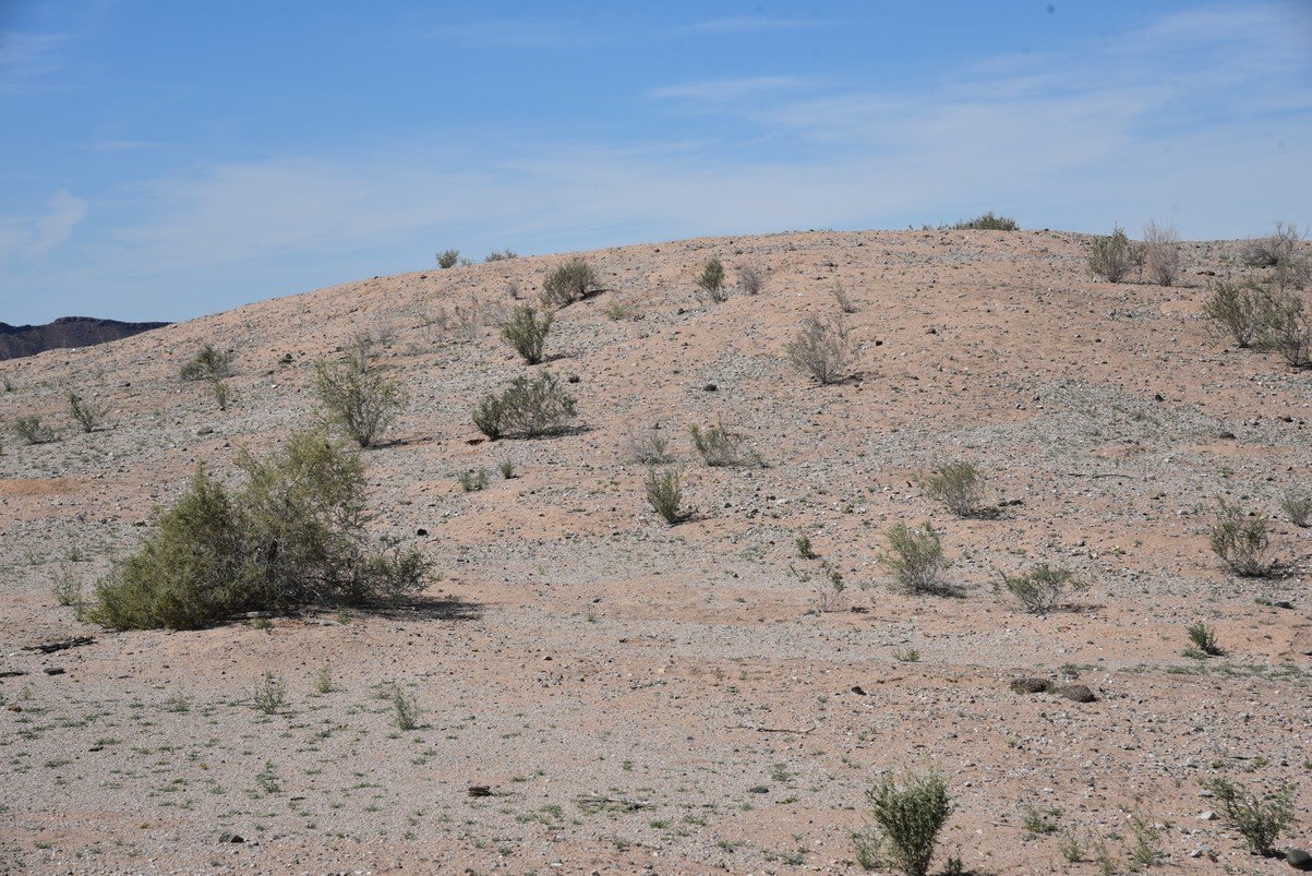 dsc_1399_fs.jpg