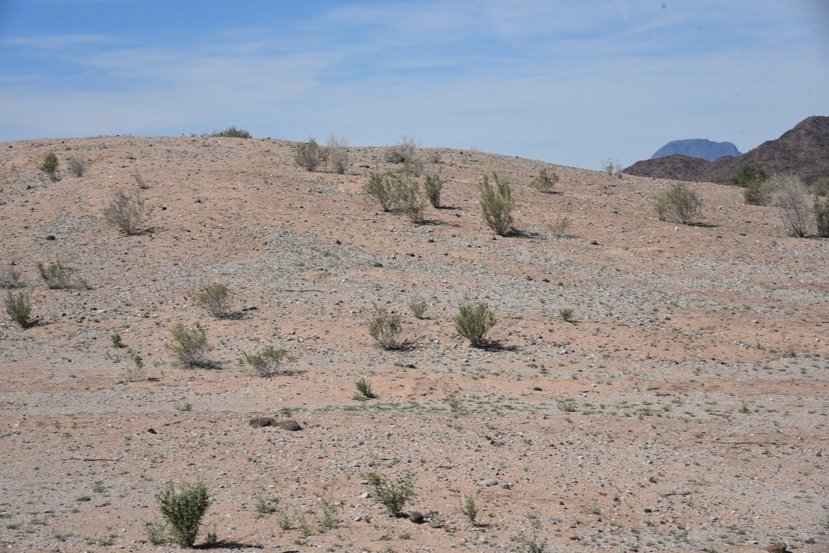 dsc_1400_fs.jpg
