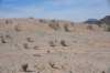 dsc_1400_fs_small.jpg