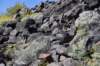 dsc_1487_fs_small.jpg