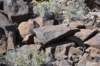 dsc_1498_fs_small.jpg
