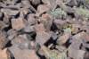 dsc_1500_fs_small.jpg