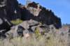dsc_1525_fs_small.jpg