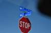 dsc_1649_fs_small.jpg
