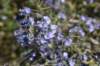 dsc_1669_fs_small.jpg