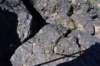 dsc_1677_fs_small.jpg