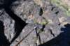 dsc_1678_fs_small.jpg