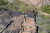 dsc_1681_fs_small.jpg