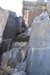 dsc_1684_fs_small.jpg