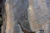 dsc_1690_fs_small.jpg
