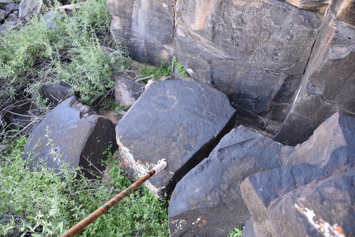 dsc_1693_fs.jpg