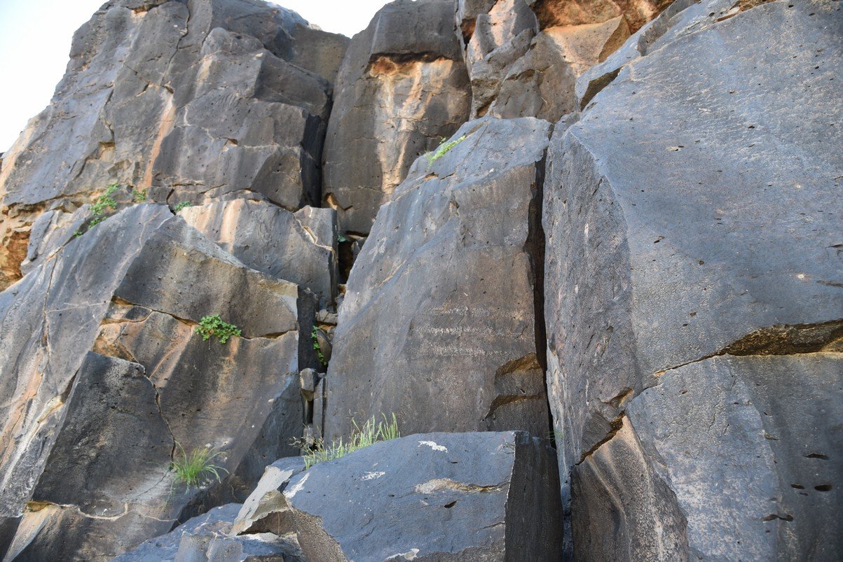 dsc_1695_fs.jpg