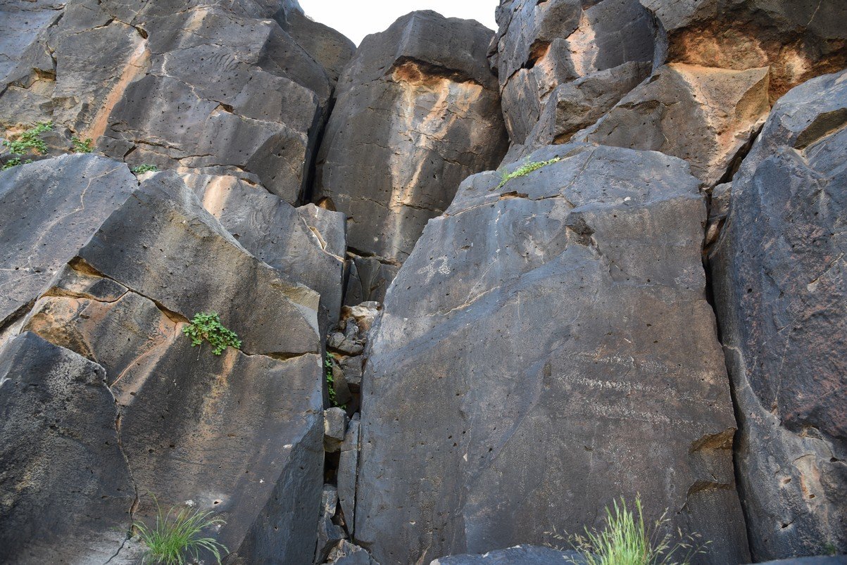dsc_1696_fs.jpg