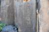 dsc_1723_fs_small.jpg