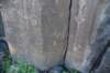 dsc_1725_fs_small.jpg