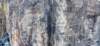 dsc_1762_63_fs_affopadram_small.jpg