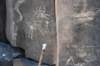 dsc_1781_fs_small.jpg